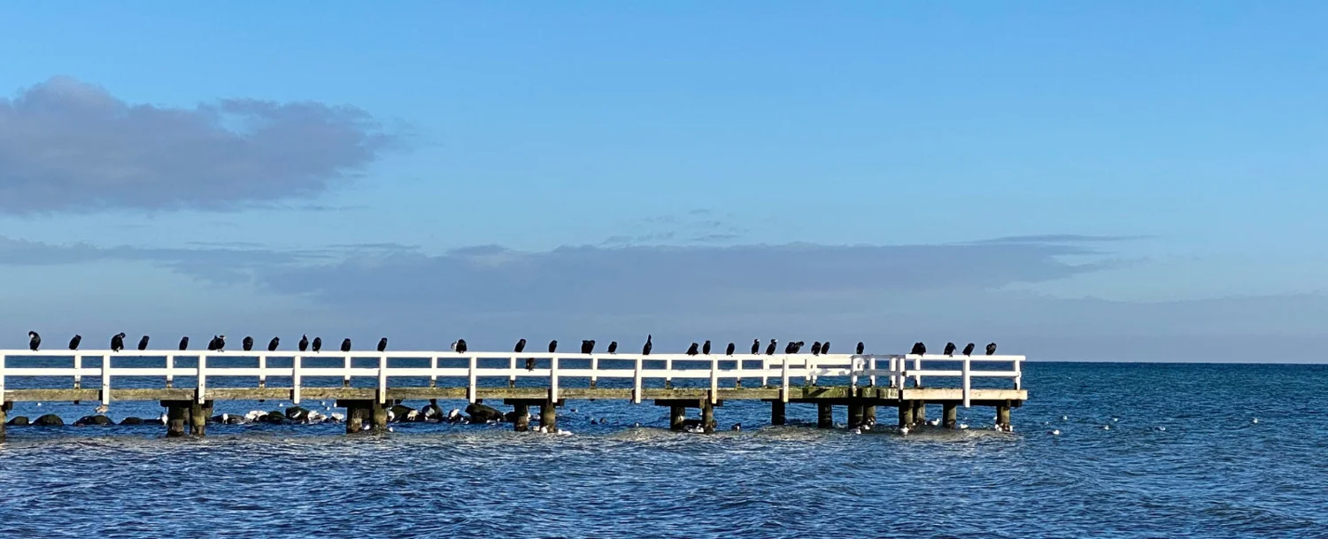 Steg am Meer